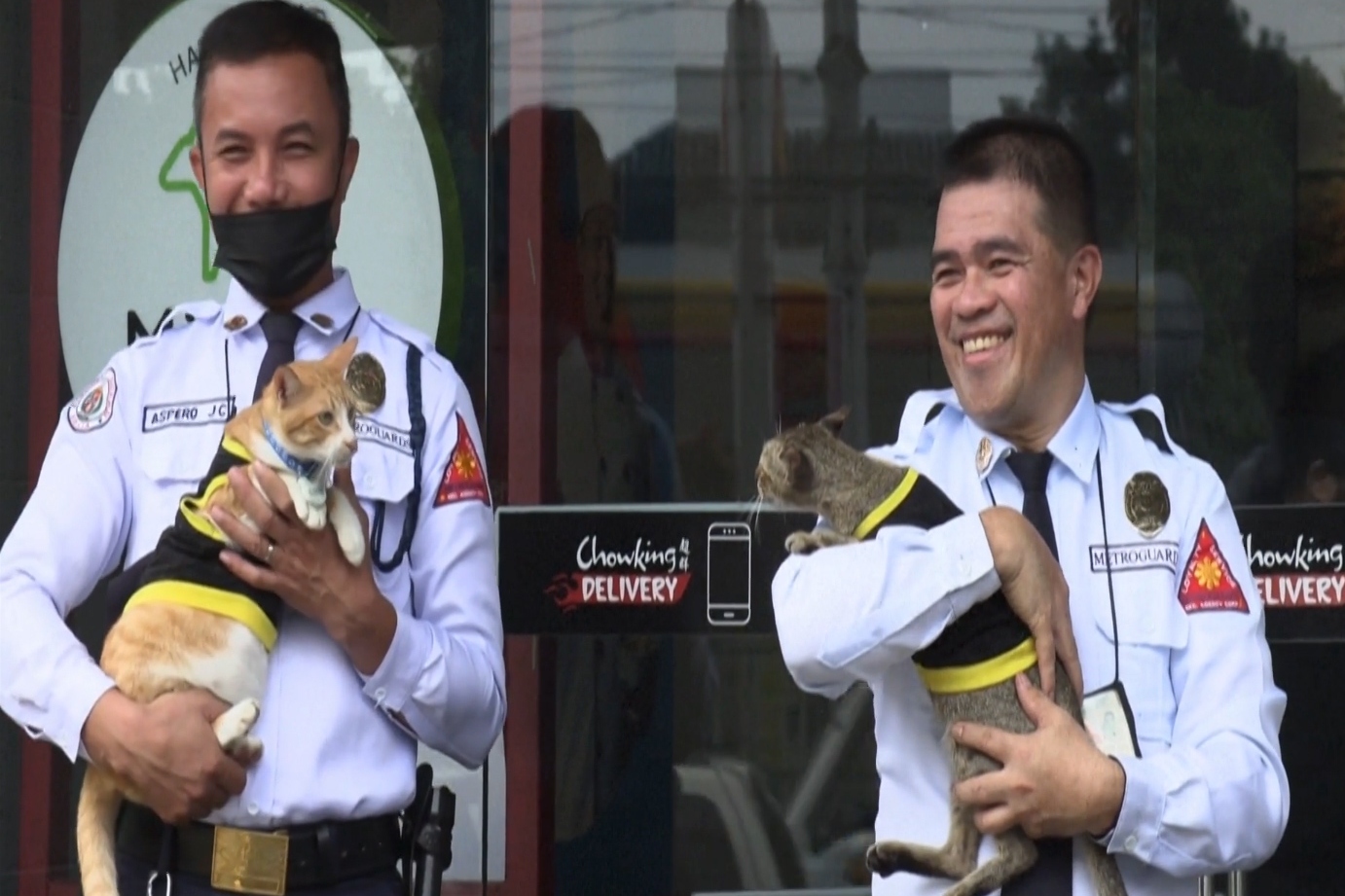 Paw patrol: Philippine security guards adopt stray cats